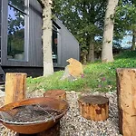 The Badger