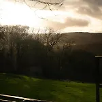 The Badger * Sneaton