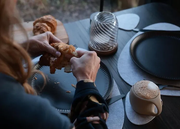 シャレー The Badger *