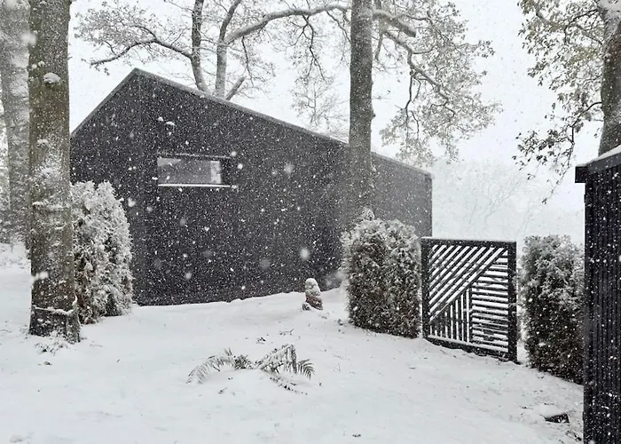 シャレー The Badger Sneaton