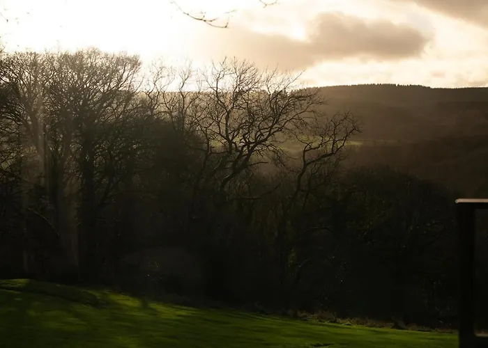 The Badger * Sneaton